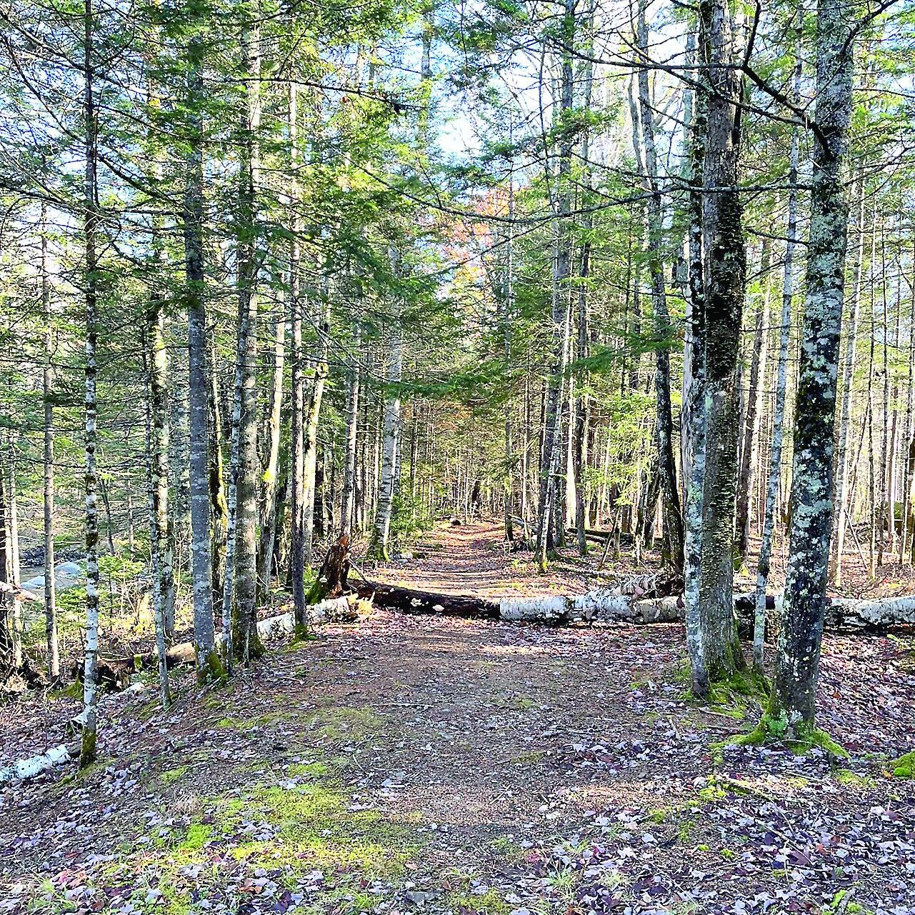 Wheel Family Fun.- foliage ride - East Branch Railroad corridor